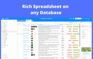 NocoDB screenshot 1