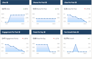 Rivalfox screenshot 1