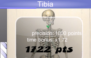 Speed Anatomy screenshot 2