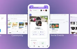 This shows the features that we currently have in PawsMatch