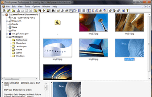 Disk Explorer Professional screenshot 1