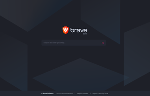 Brave Search screenshot 1