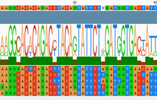 VectorFriends screenshot 1