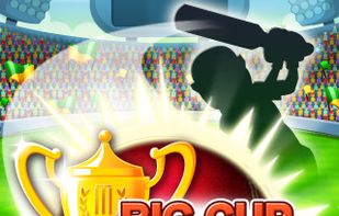 Big Cup Cricket screenshot 1