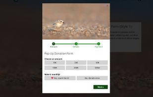 You can also display donation forms in a popup.