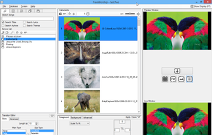 Project fullscreen image, play slideshow (toggle loop with time delay)
