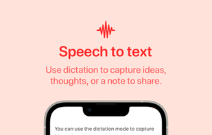 Quick Capture screenshot 2