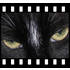 PhotoFilmStrip icon