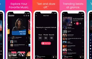 Bloomee Tunes screenshot 2
