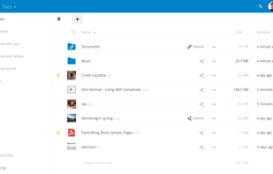 Simple and powerful file sync & share