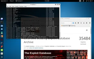 Kali Linux screenshot 1