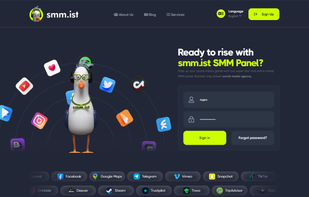 smm.ist screenshot 1