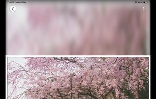 QuMagie screenshot 3