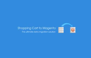 Shopping cart to Magento migration tool