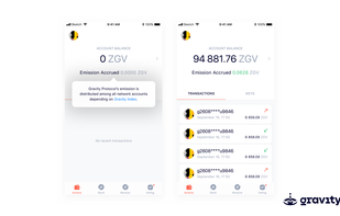 Gravity Solutions screenshot 3