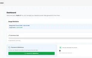 Dashboard overview showing usage statistics, billing period, and "Connect to Salesforce" button