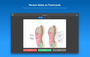 MarginNote screenshot 2