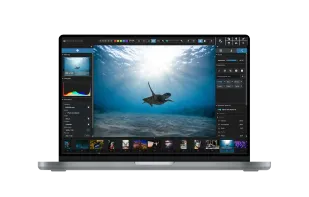 Excire Foto 2025 automatic keywording