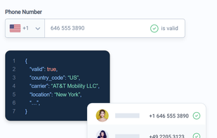 NumlookupAPI screenshot 1