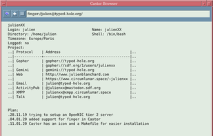 Castor Browser screenshot 2