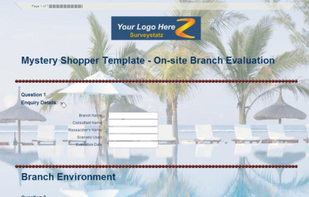 Custom survey designs to incorporate your theme, logo and corporate colors or images.