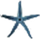StarFisher icon