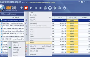The Ant Download manager main screen and context menu