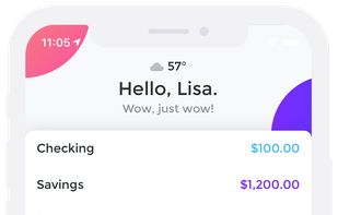 Emma Budget Manager screenshot 1