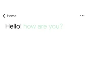 Google Translate screenshot 3