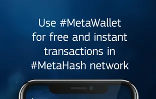 MetaGate screenshot 2