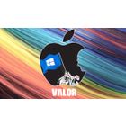 Valor icon