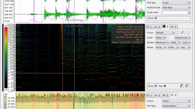 Sonic Visualiser 0.9 showing a waveform, beat locations detected by a Vamp plugin, an onset likelihood curve, a spectrogram with instantaneous frequency estimates and a "harmonic cursor" showing the relative locations of higher harmonics of a frequency, a waveform mapped to dB scale, and an amplitude measure shown using a colour shading.
