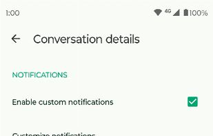 Fossify Messages screenshot 2