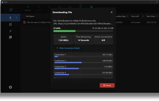 Brisk Download Manager screenshot 1