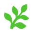 Fern icon