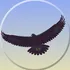 Eagle Mode icon