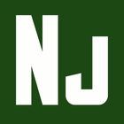 Nunjucks icon