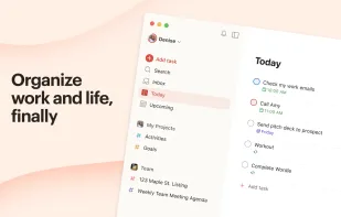 Todoist screenshot 1