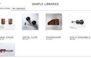 Decent Sampler screenshot 1