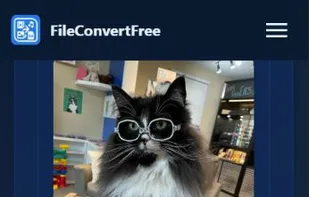 FileConvertFree screenshot 3