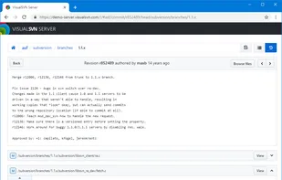 VisualSVN Server screenshot 2