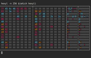 hexyl screenshot 2