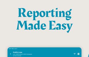 TrulySmall Accounting screenshot 3