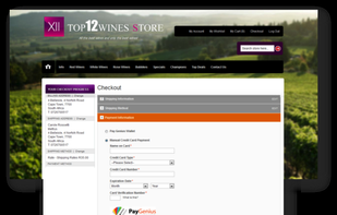 Integrated Payment Page