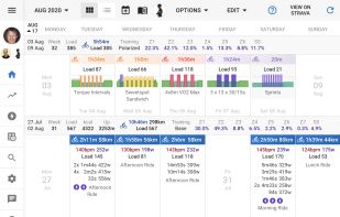 Intervals.icu screenshot 1