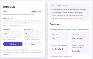 BMI calculator input section.