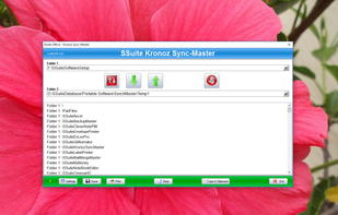 SSuite Kronoz Sync-Master screenshot 1