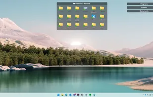 'Roll up' fences to their title bar to save space.