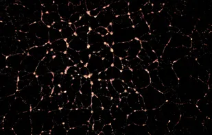 Reaccumulation of fragment field

Self-gravitational reaccumulation and formation of rubble-pile asteroids, simulated using SPH.