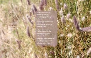 Words Away screenshot 3